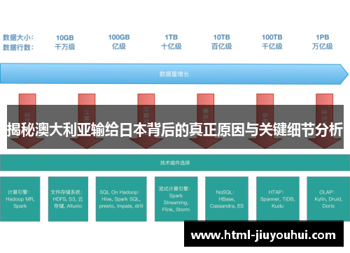 揭秘澳大利亚输给日本背后的真正原因与关键细节分析 揭秘澳大利亚输给日本背后的真正原因与关键细节分析