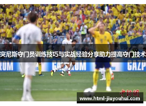 突尼斯守门员训练技巧与实战经验分享助力提高守门技术
