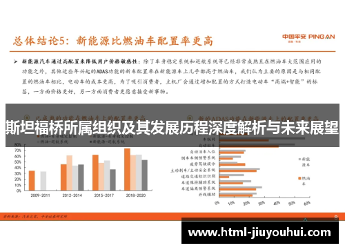 斯坦福桥所属组织及其发展历程深度解析与未来展望