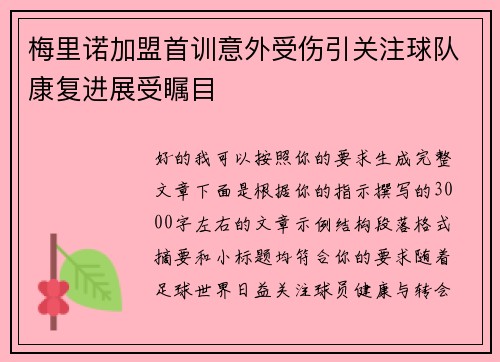 梅里诺加盟首训意外受伤引关注球队康复进展受瞩目